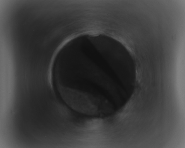 X0000100840196200807070940