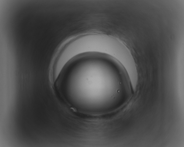 X0000100840200200807070940