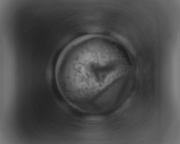 X0000100840202200807070940