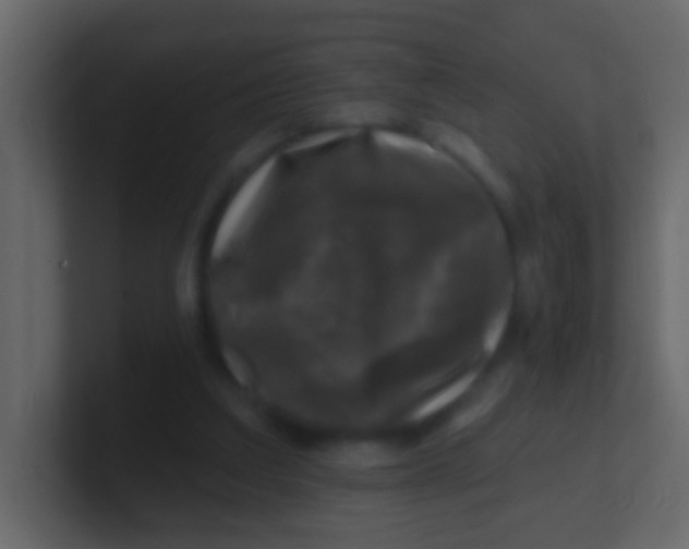 X0000100840203200807070940