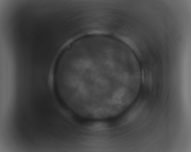 X0000100840204200807070940