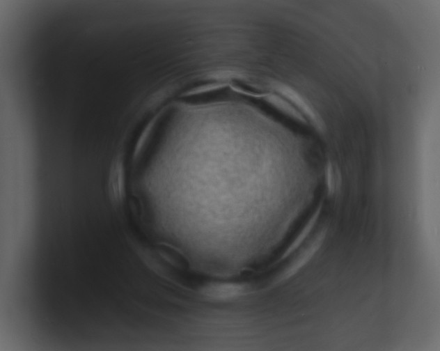 X0000100840205200807070940