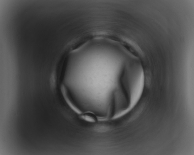 X0000100840207200807070940