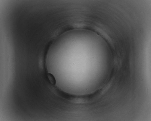 X0000100840209200807070940