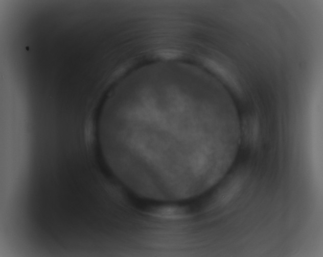 X0000100840212200807070940