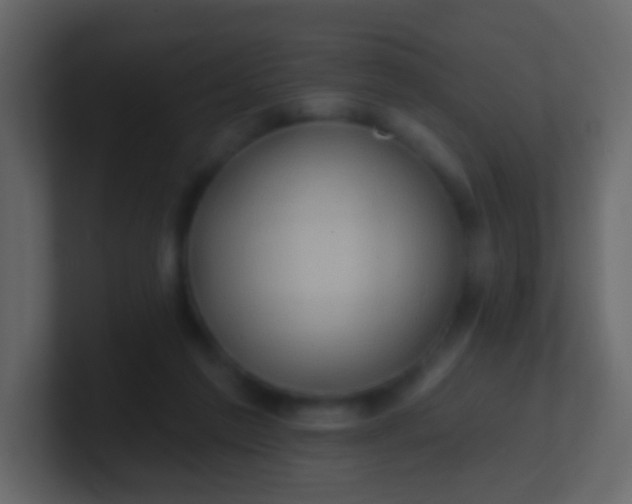 X0000100840213200807070940