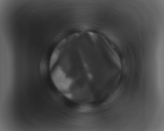 X0000100840214200807070940