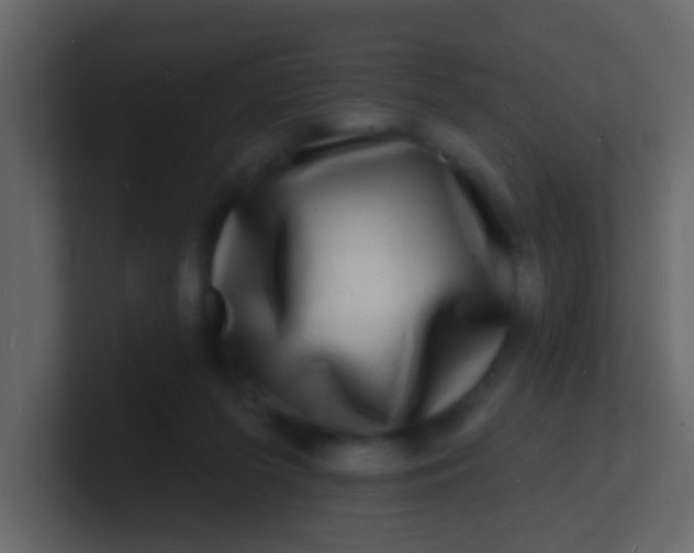 X0000100840215200807070940