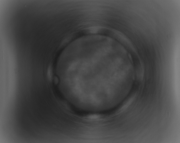 X0000100840216200807070940