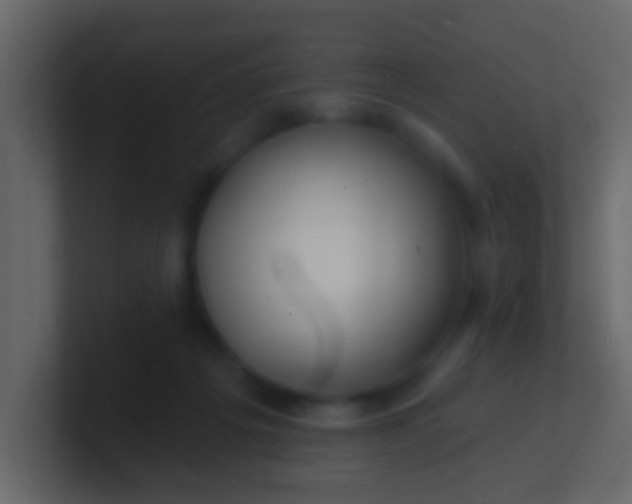 X0000100840217200807070940