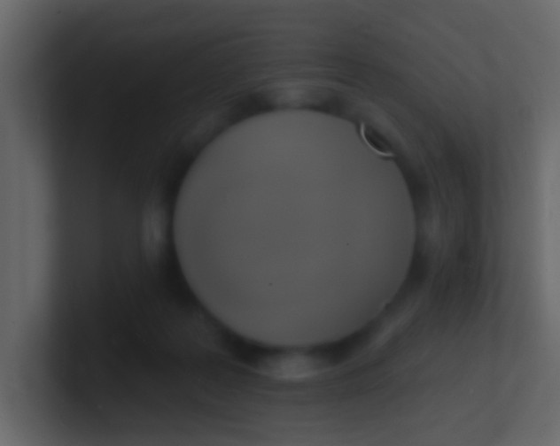 X0000100840219200807070940