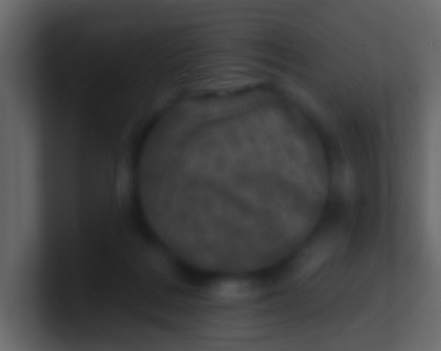 X0000100840220200807070940