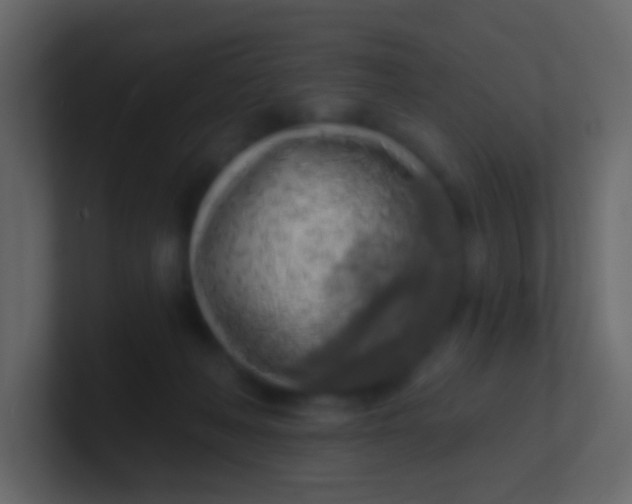 X0000100840222200807070940