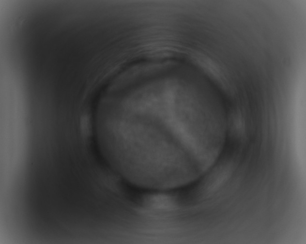 X0000100840224200807070940