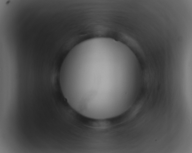 X0000100840225200807070940