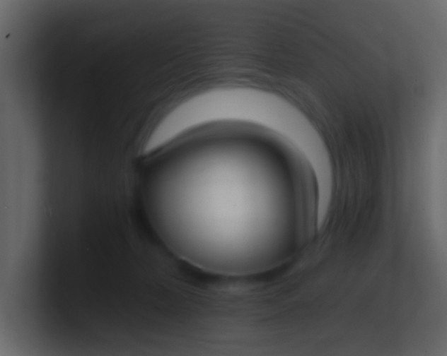 X0000100840228200807070940