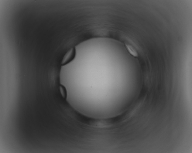 X0000100840229200807070940