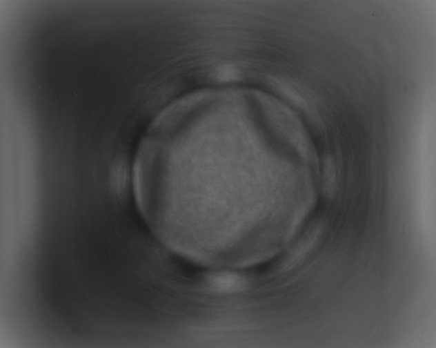 X0000100840230200807070940