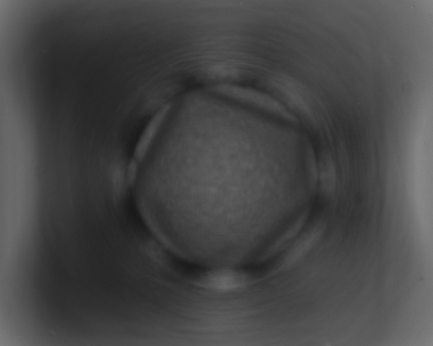 X0000100840231200807070940