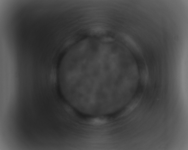 X0000100840232200807070940