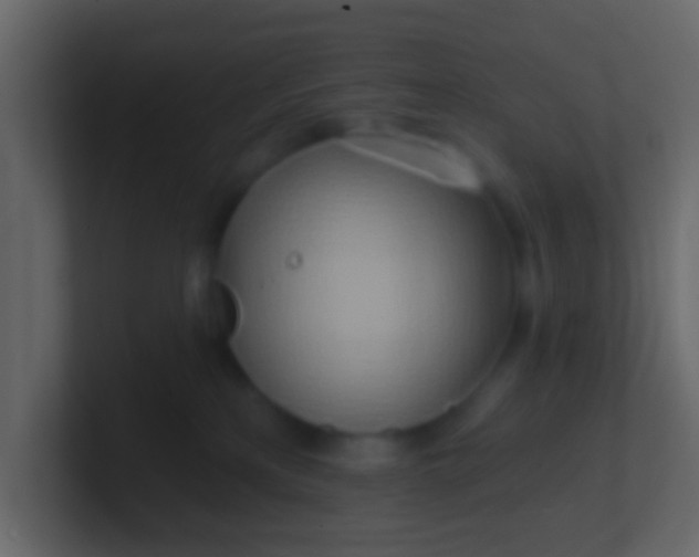 X0000100840233200807070940