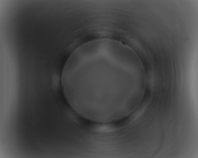 X0000100840235200807070940