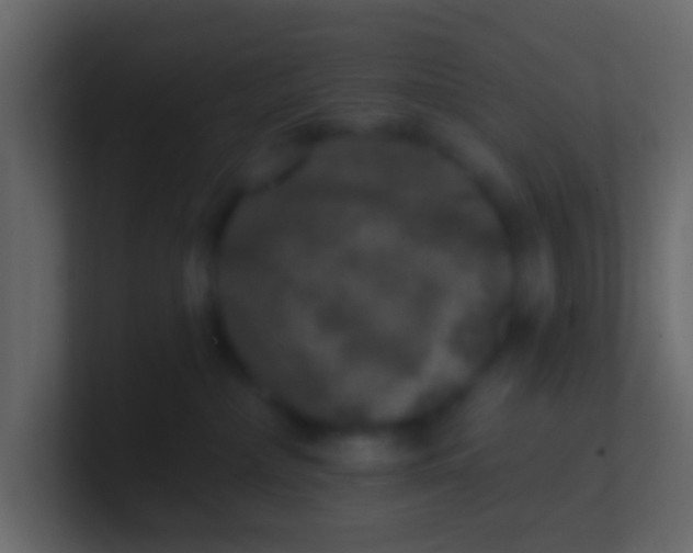 X0000100840236200807070940