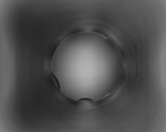 X0000100840237200807070940