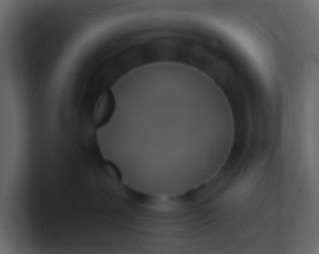 X0000100840239200807070940