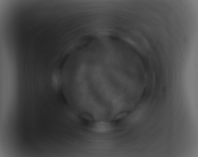 X0000100840240200807070940