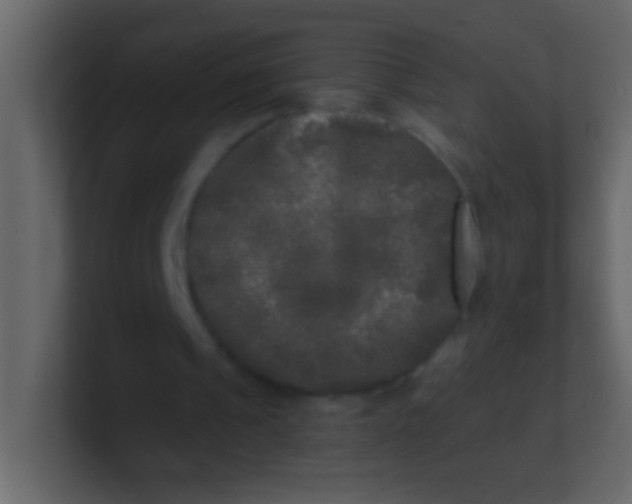 X0000100840241200807070939