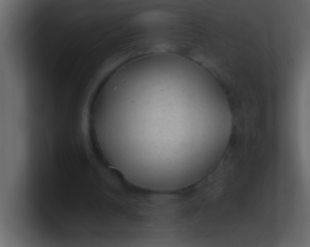 X0000100840242200807070939