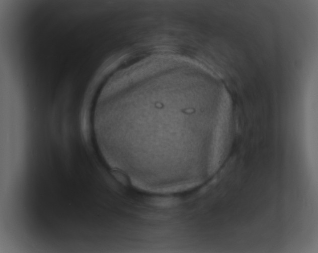 X0000100840245200807070939