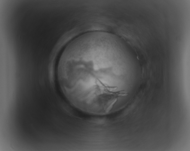 X0000100840247200807070939