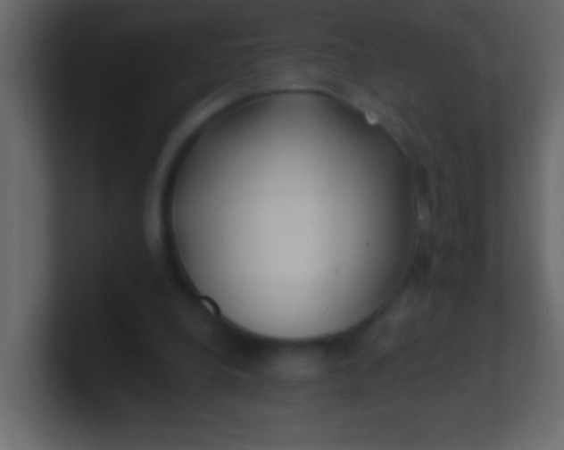 X0000100840248200807070939