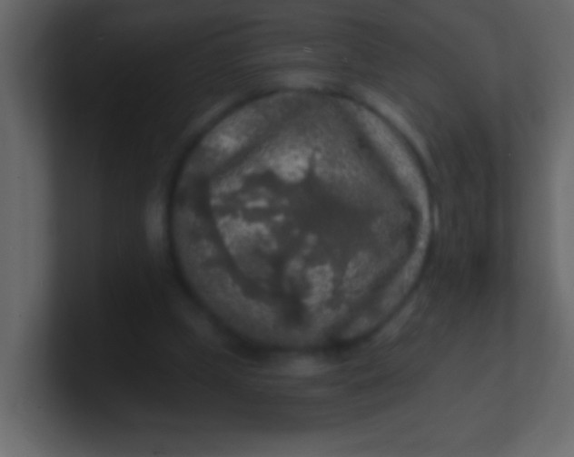 X0000100840249200807070939