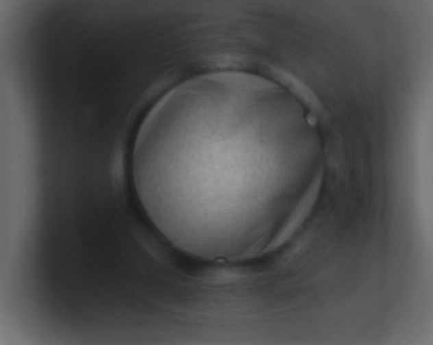 X0000100840250200807070939