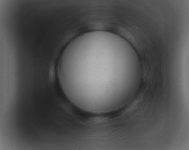 X0000100840251200807070939