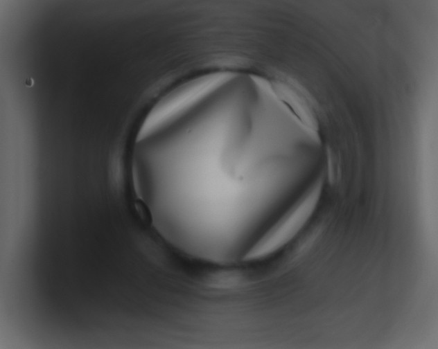 X0000100840252200807070939