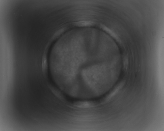 X0000100840254200807070939