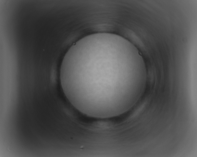 X0000100840255200807070939