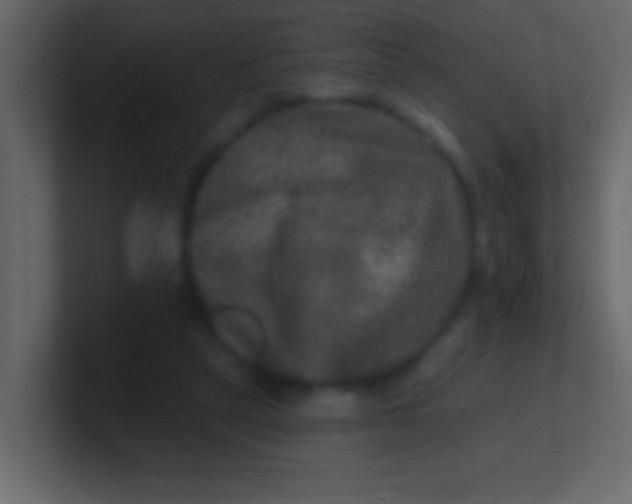 X0000100840257200807070939