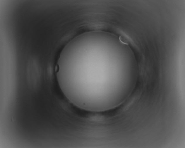 X0000100840258200807070939