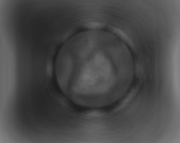 X0000100840259200807070939