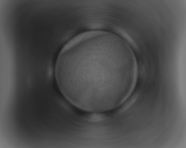 X0000100840261200807070939