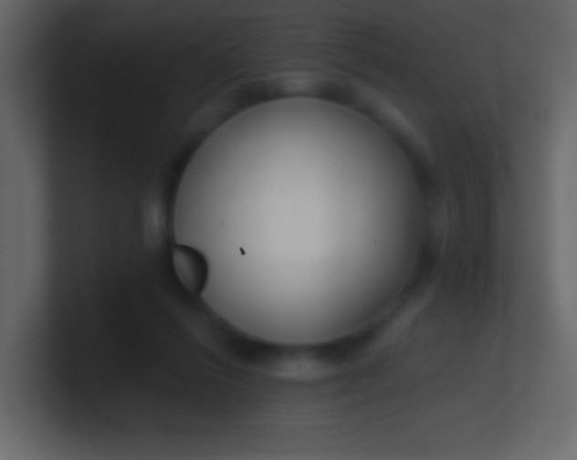 X0000100840262200807070939