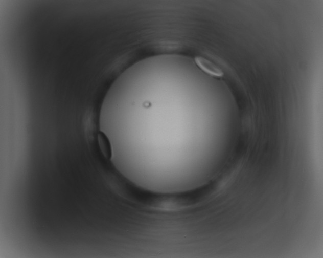 X0000100840264200807070939