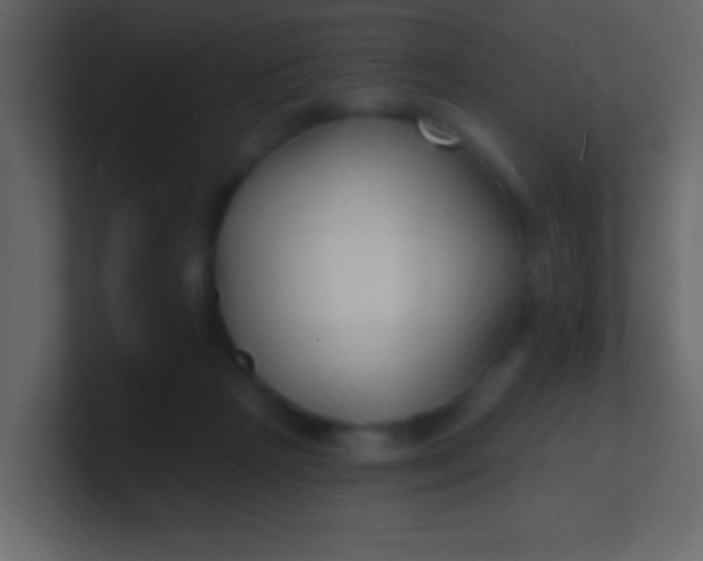 X0000100840265200807070939