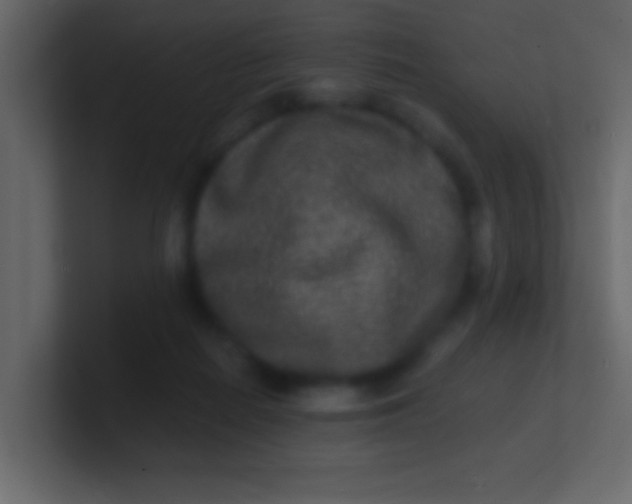 X0000100840266200807070939