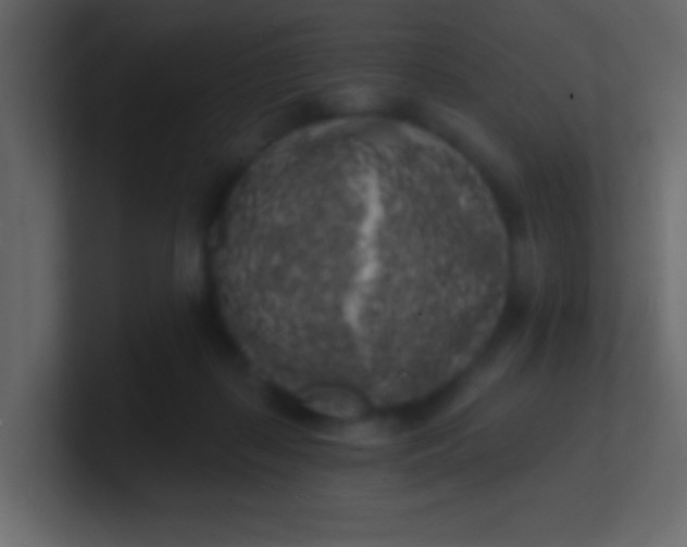 X0000100840267200807070939